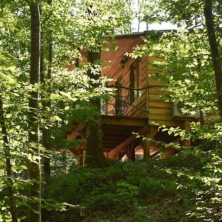 La Cabane Aux Ecureuils Philippeville Eksteriør bilde