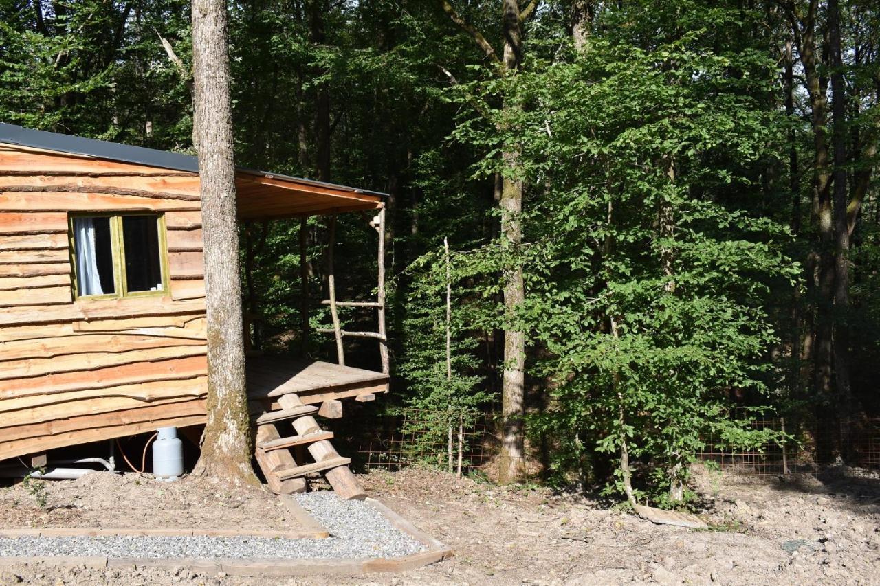 La Cabane Aux Ecureuils Philippeville Eksteriør bilde