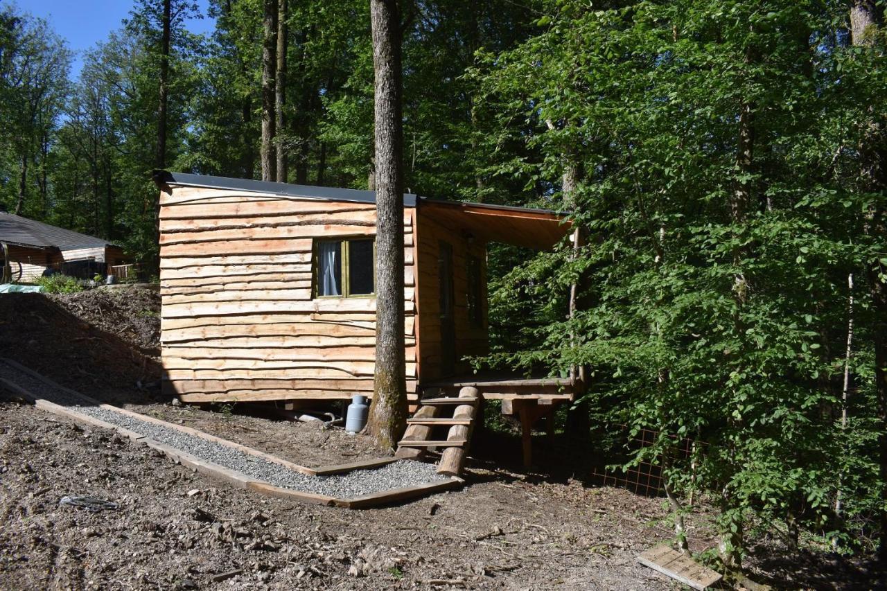 La Cabane Aux Ecureuils Philippeville Eksteriør bilde