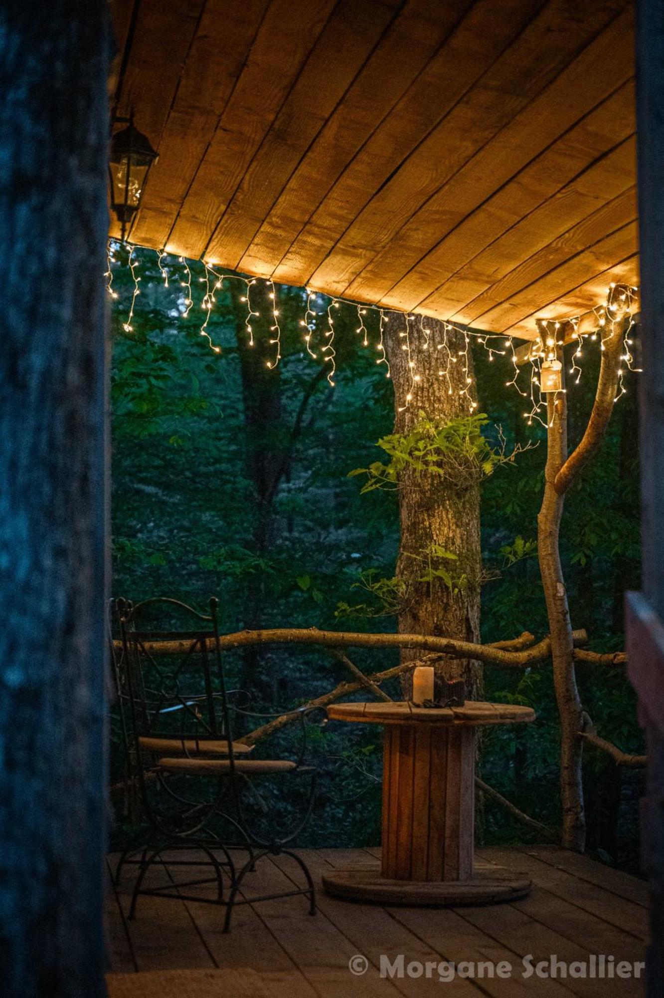 La Cabane Aux Ecureuils Philippeville Eksteriør bilde