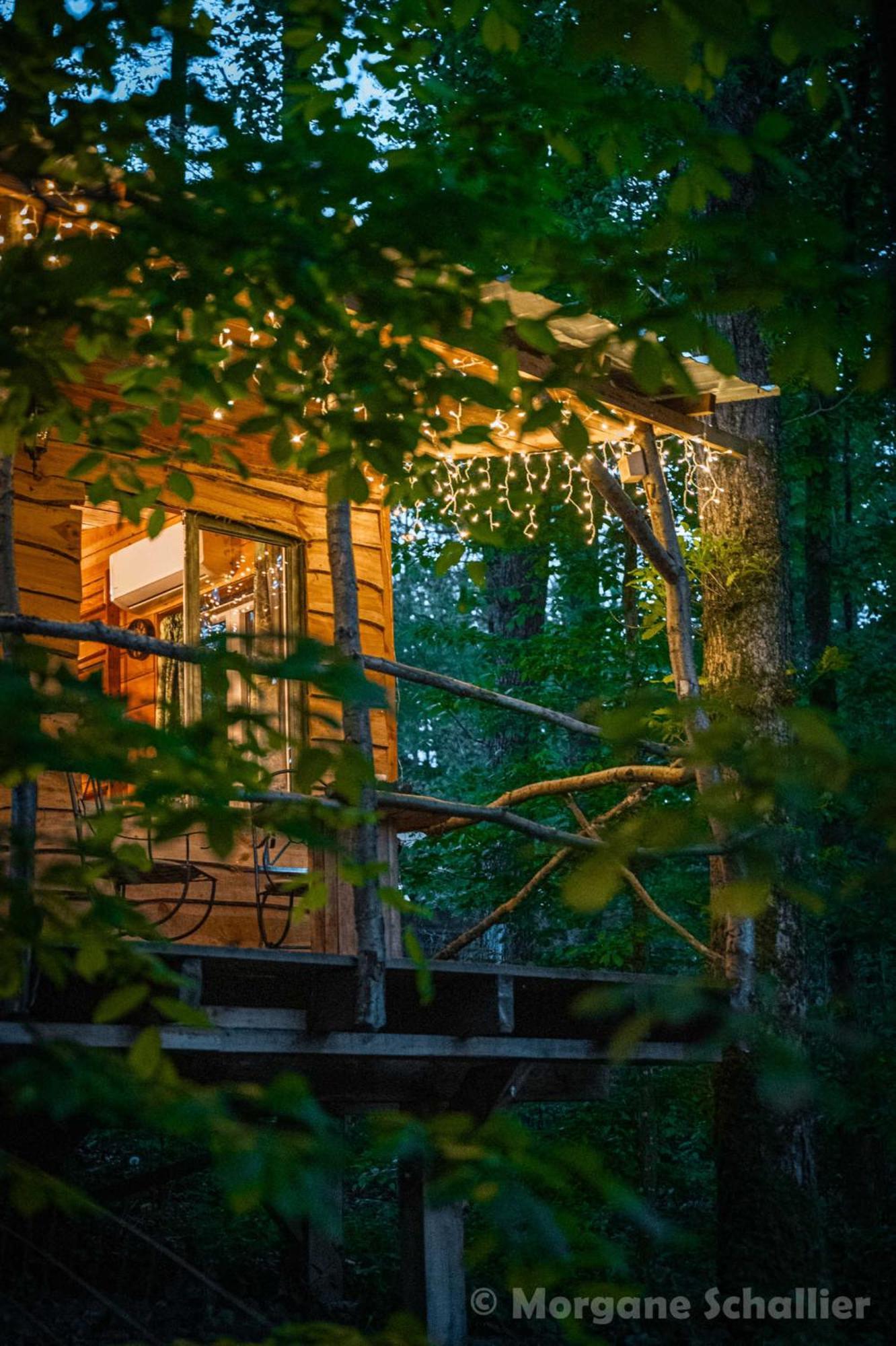 La Cabane Aux Ecureuils Philippeville Eksteriør bilde